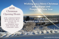 AFBI Christmas Opening Hours