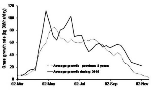 Figure 1: Average grass growth measured at Hillsborough and Greenmount in 2015, compared to the average of the previous eight years.