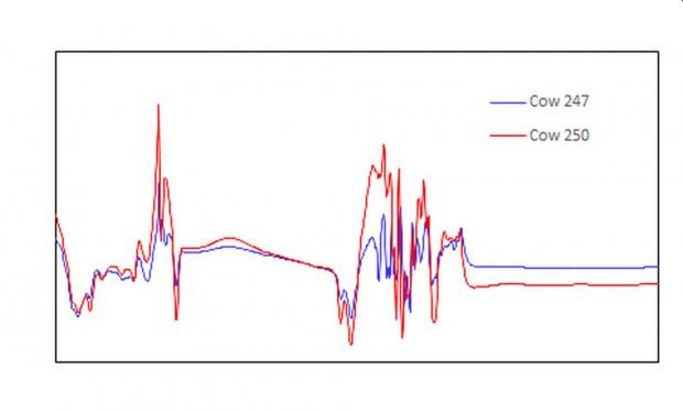 Figure 1. Typical MIR spectra for milk samples from two dairy cows