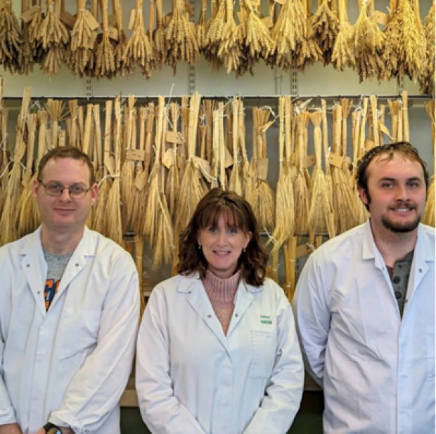 The AFBI seed testing team Aaron Carrick, Jenny Livingstone, and Robert Neill