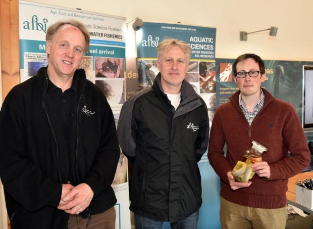 Pictured L and R Dr Robert Rosell and Mr Warren Campbell, AFBI Eel Research Team with Richard McCormick, AFBI Communications Manager (centre)