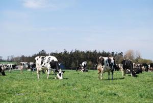 Many herds took advantage of late season grazing opportunities in 2015, with weather conditions remaining excellent well into late October.